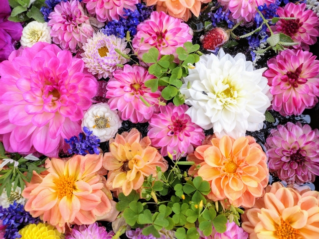 [blog] 2025年はさらに自分らしく！